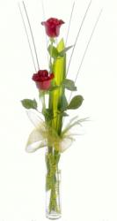 FLORISTA - Staff &nbsp; 