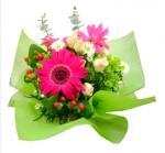 FLORISTA&nbsp; Staff - Básico&nbsp;