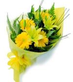 FLORISTA - Staff - Avanzado